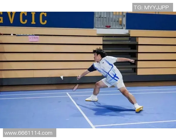 武汉羽毛球队的拼搏之路:一段不屈不挠的奋斗纪实与荣耀回顾