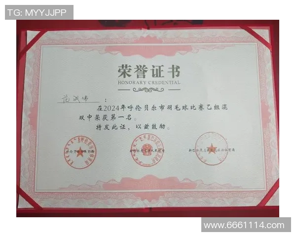 羽毛球的梦想与拼搏:上海羽毛球队成长之路的真实记录